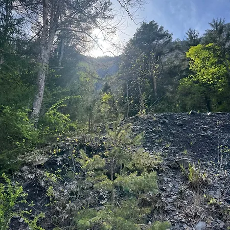 La Etoilee *